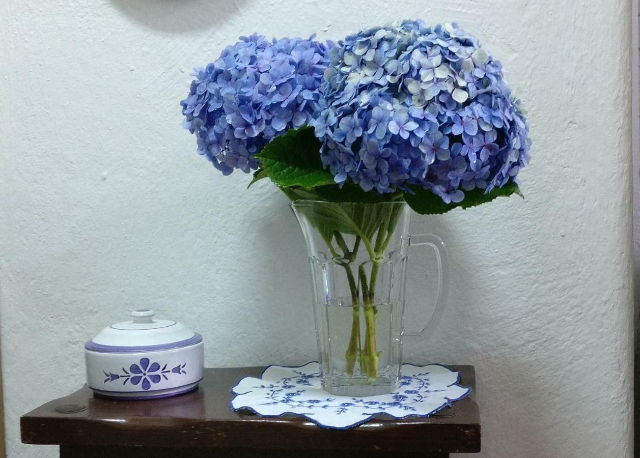 Casa Do Vale Encantado ฟูร์นัส ภายนอก รูปภาพ